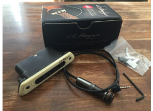 L.R. Baggs M80 (29162)