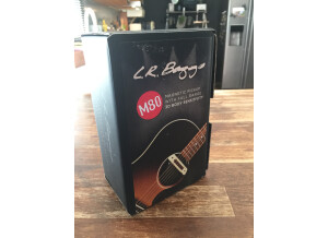 L.R. Baggs M80 (85942)