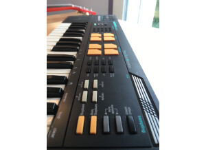 Casio SK-5 (23609)