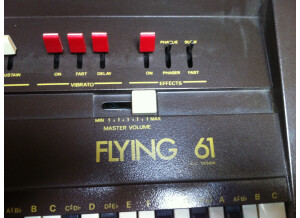 Siel Flying 61