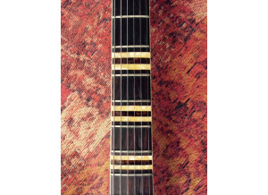 Hofner Guitars 176 (77380)
