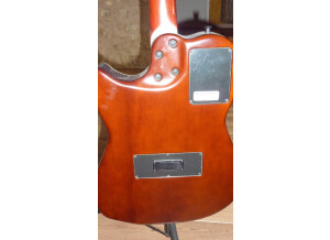 Godin Multiac Series - Steel SA