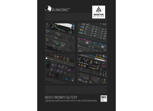 poster blinksonic RP rgb