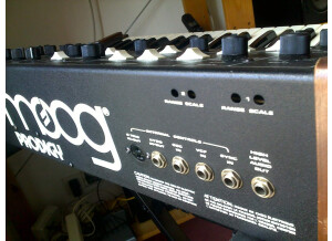 Moog Music Prodigy (10993)