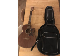 Tanglewood TW47 E (25913)