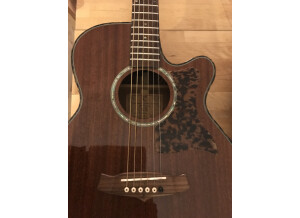 Tanglewood TW47 E (38875)