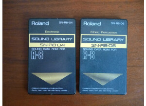 Roland SN-R8-04 : Electronic (68919)