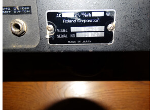 Roland DC-20 Analog Echo (63281)