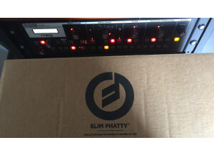 Moog Music SlimPhatty (46324)