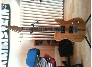 Fender Special Edition - Custom Telecaster HH Spalted Maple