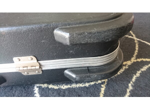 Music Man John Petrucci 7 (70060)