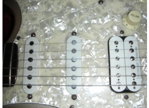 Fender Hot Rodded American Lone Star Stratocaster (31362)