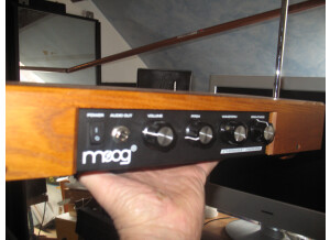 Moog Music Etherwave Theremin Standard (94887)