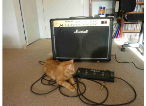 Marshall JCM 2000 TSL602