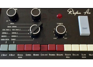 Roland Rhythm 330 (31710)