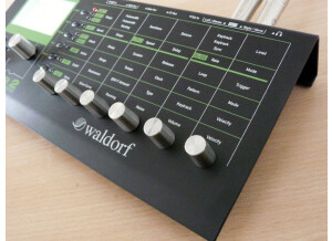 Waldorf Pulse 2 (49238)