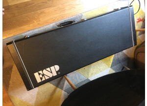 ESP Eclipse-II - Snow White (90983)
