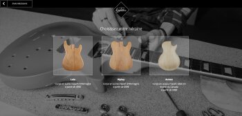 Eagletone Custom Guitare : Eagletone Custom Guitare (17365) Eagletone Custom Guitare : Eagletone Custom Guitare (17365)