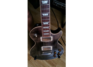 Gibson Les Paul Standard (81263)
