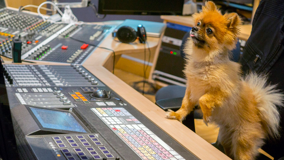 Mixage 129 Couv Large