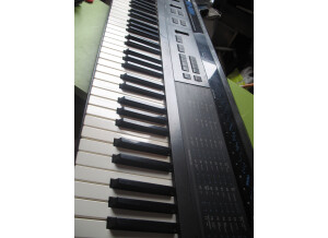 Korg Dw-8000 (38784)