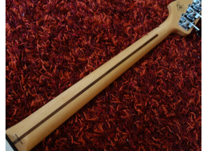 Geddy Lee manche verso 1.JPG