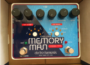 Electro-Harmonix Deluxe Memory Man 1100-TT (70087)