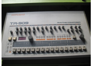 Roland TR-909 (76439)