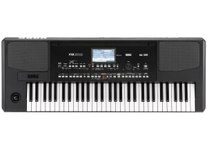 Korg Pa300 (60232)