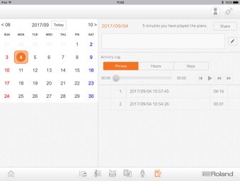 Roland Piano Partner 2 : 10 Diary 1 gal Roland Piano Partner 2 : 10 Diary 1 gal