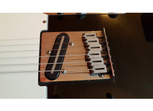 Fender American Standard Telecaster [1988-2000] (58061)