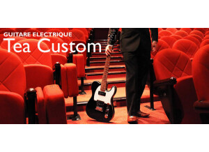 Elypse Guitars Tea Custom