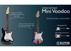 Mini Voodoo