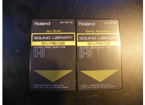 Roland R-8M (51300)