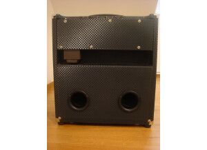 Ampeg B-100R (45055)