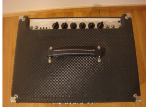 Ampeg B-100R (59852)