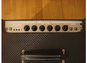 Ampeg B-100R (75953)