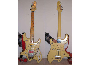 bfoot swiss cheese 1