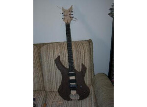 guitarenbeer Nico38.JPG