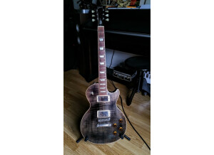 Gibson Les Paul Standard (79457)