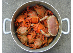 crabes cuits