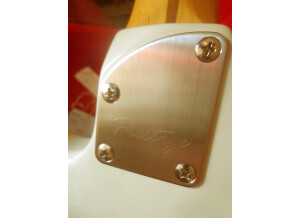 Ibanez TM1730 & TM1730M (89543)