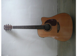 Elypse Guitars Yanca (59074)