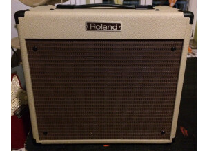 Roland Blues Cube BC-30 210