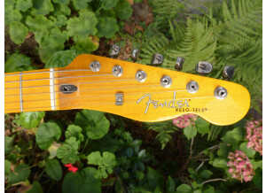 Fender Reso-Tele (87559)