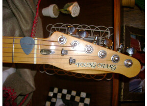 Young Chang TYPE TELECASTER (79487)