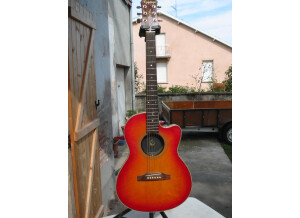 Epiphone Chet Atkins SST