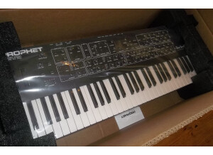 Dave Smith Instruments Prophet Rev2 (13295)