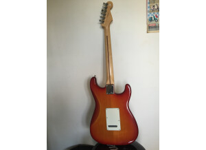 Fender Standard Stratocaster Plus Top LH (77863)