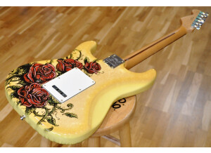 Fender Special Edition David Lozeau Art Stratocaster